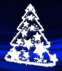 Weihnachtsgeflügel und Pokalschießen 2015 Weihnachtsgeflügel und Pokalschießen 2015